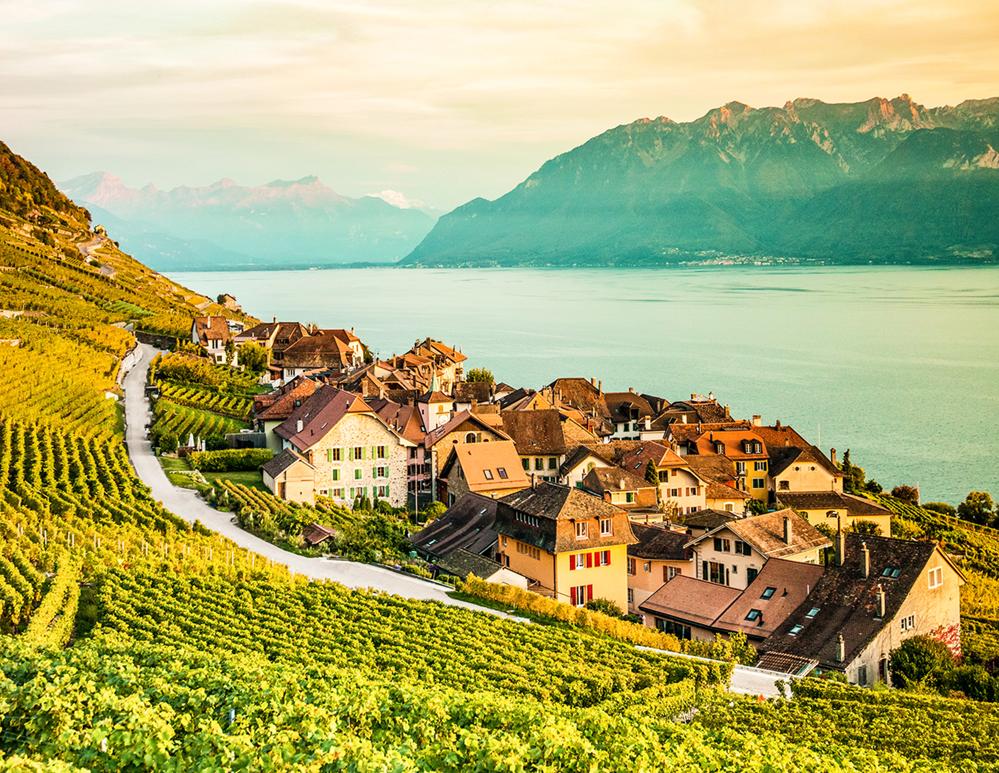 lavaux chaplin