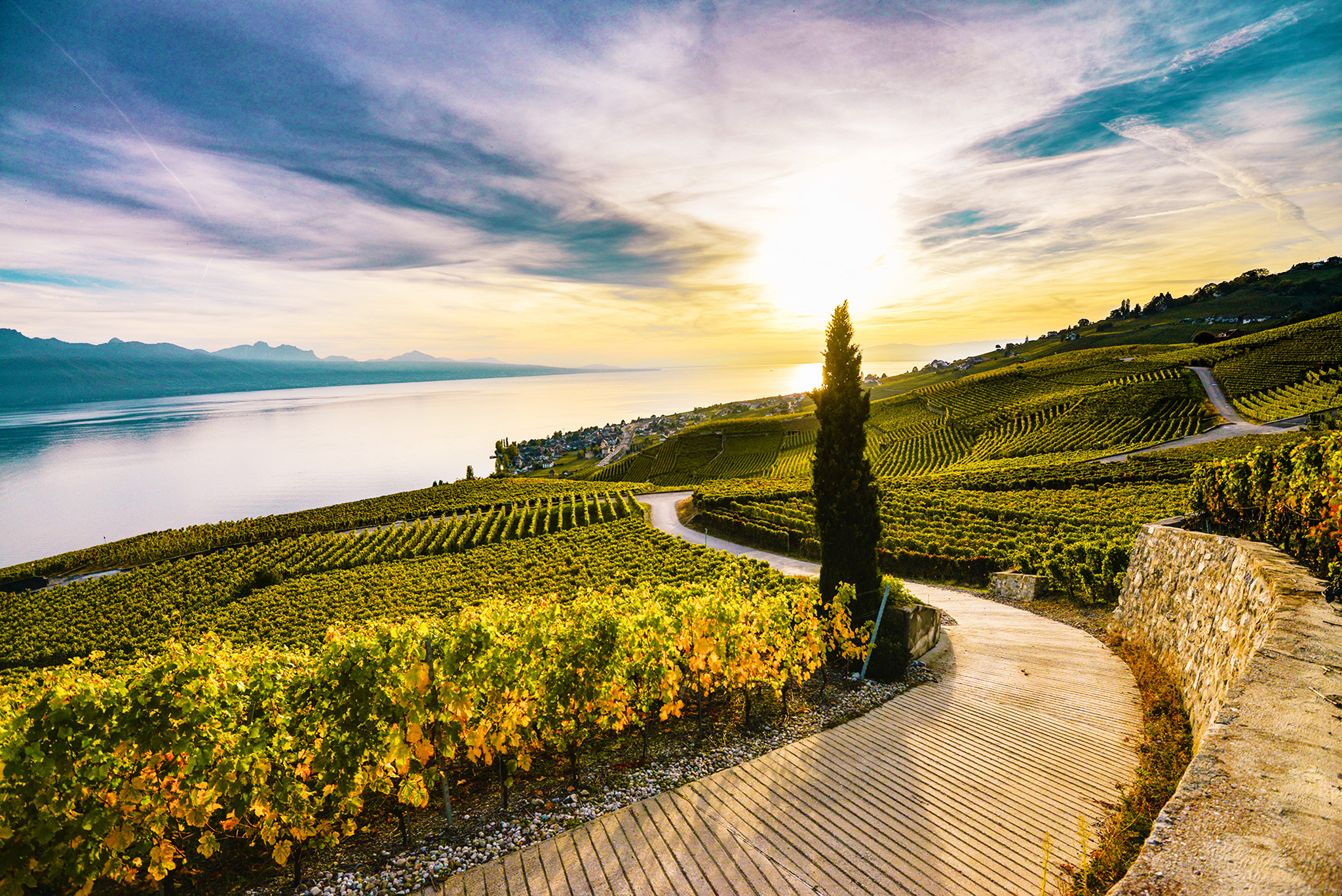 lavaux chaplin