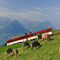cogwheel_train