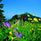 hiking_rigi