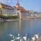 lucerne lucerne